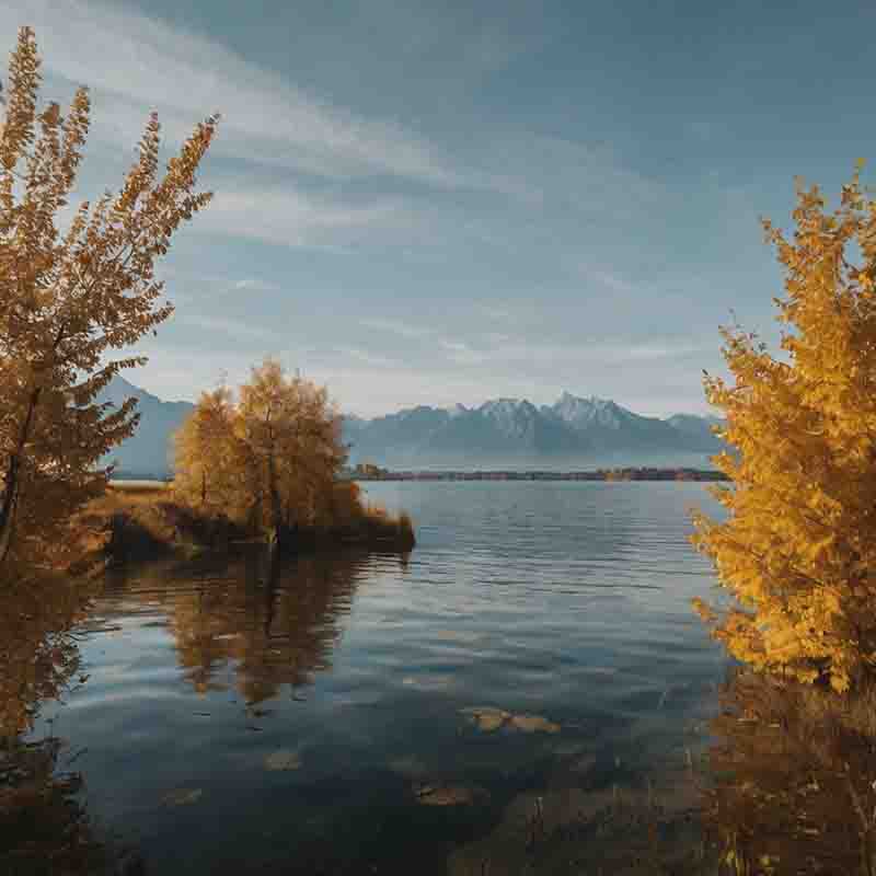 Herbstliche Bäume säumen den Chiemsee, im Hintergrund erheben sich imposante Berge, die eine malerische Landschaft darstellen.