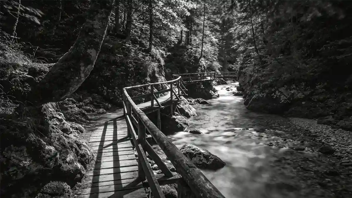 Schattige Wanderwege im Chiemgau Schmaler Wanderweg durch eine schattige, bewaldete Klamm im Chiemgau mit klarem Bergbach, Stegen und moosbewachsenen Felsen.